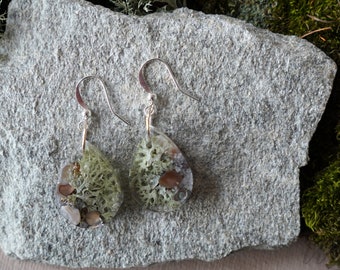 Silver-Fairyland-MOSS-SHELL earrings,Forest Nature earrings, Real Moss -Lichen earring, Woodland Lichen jewelry,Unique nature Gift for her