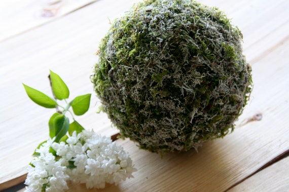 Moss Ball 55inch Natural Rustic Decorative Green Reindeer Etsy