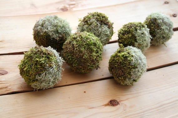 Moss Balls Natural Rustic Decorative Green Reindeer Moss Etsy