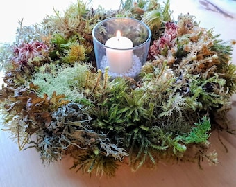 ALL seasons MOSS Wreath- Natural-Preserved moss lichen Wreath: Boho Modern Organic Farmhouse Moss Decor, 12-13 Inch