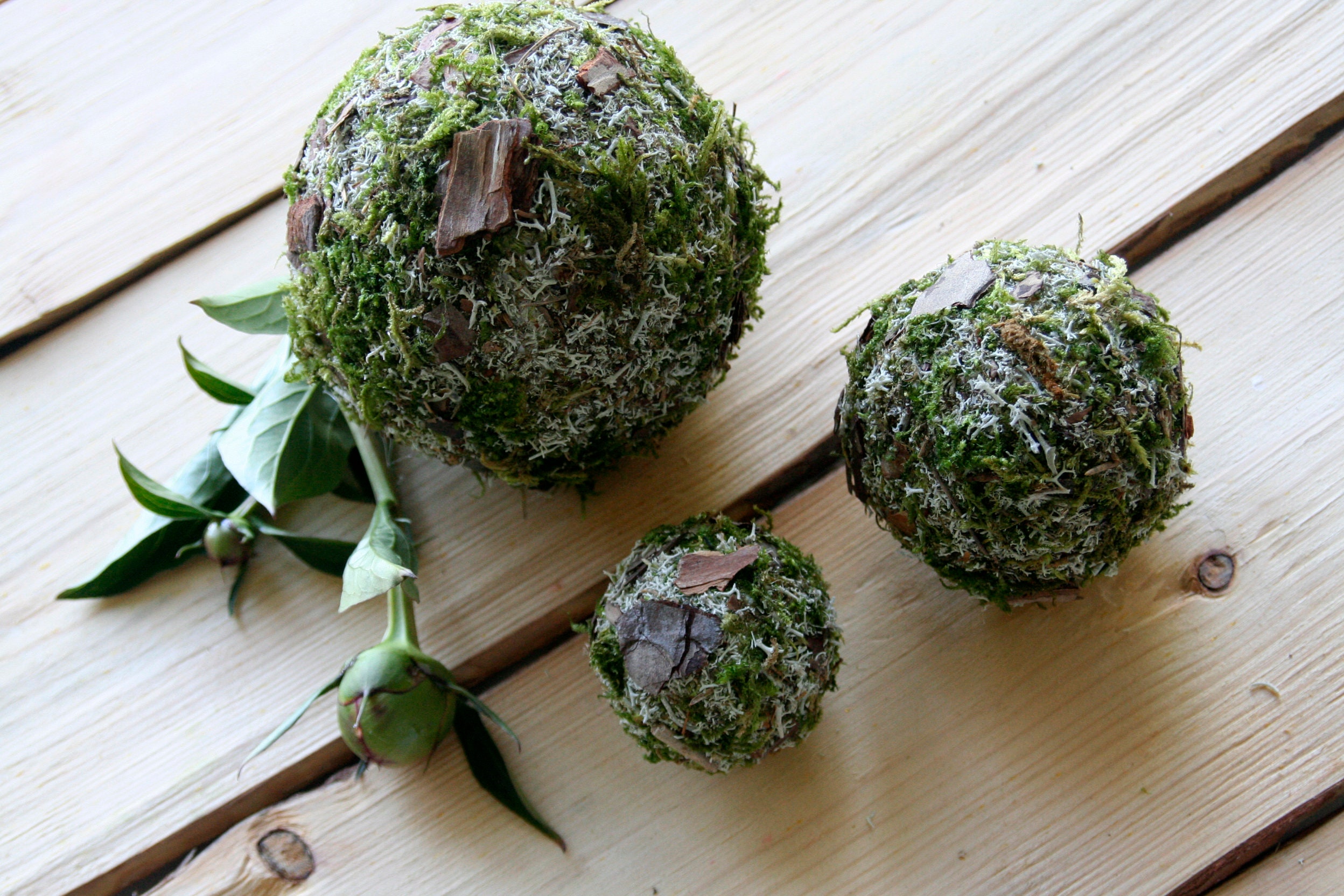 FIXOSHEE 50 Stück Bunte Rattanbälle - Kauspielzeug Für Papageien & Vögel