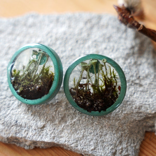 Natural YELLOW-MOSS earrings,Forest Nature earrings,Terrarium earrings,Real MOSS earring, Woodland Lichen jewelry,Unique nature Gift for her
