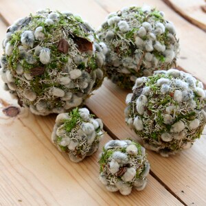 May include: Five round, moss-covered balls with white fluffy accents. The balls are arranged on a light wood surface.