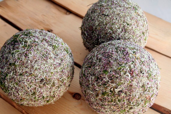 Natural Bowl Vase Basket Filler 3 Large Balls 5 Etsy