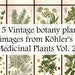 see more listings in the Botanical Art (bundles) section