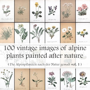 100 Fantastic Alpine Flora Botany images - Vintage Botanical Poster - Alpine plants painted after nature vol 1