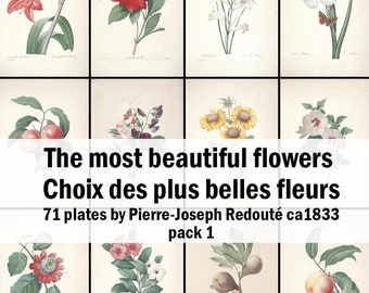 May include: A collection of 71 botanical illustrations of flowers, titled "The most beautiful flowers, Choix des plus belles fleurs, 71 plates by Pierre-Joseph Redouté ca1833, pack 1".