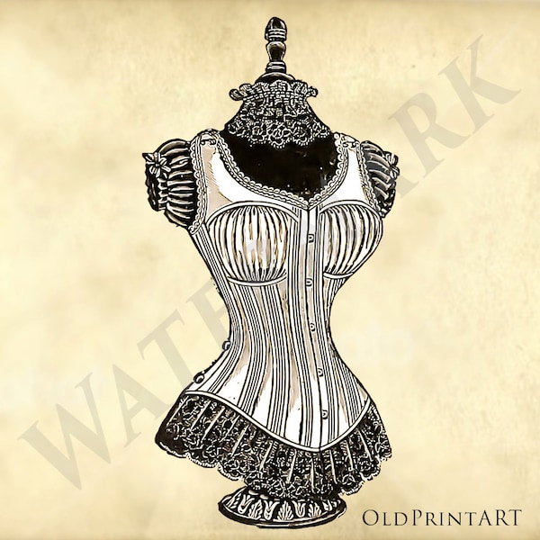 Tricora woman corset and dress form from 1893 Illustrated catalogue - Printable Download - Corset clip art - dress form clip art