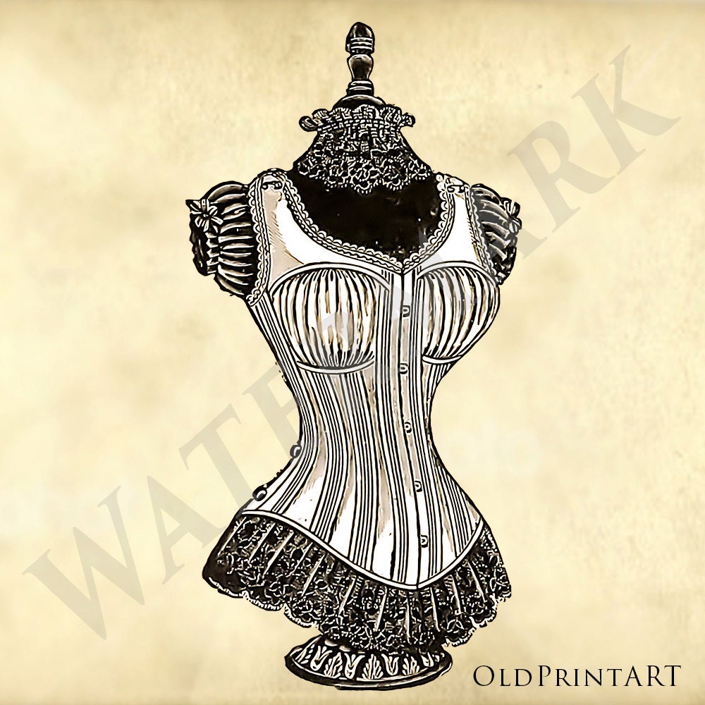 slim fit dress slacks High Res Antique Dress Form Picture  Free Images