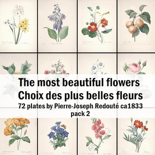 72 of the the Most Beautiful Flowers According to the French | Etsy