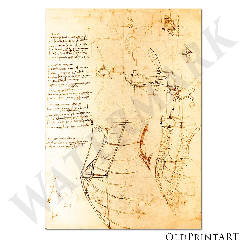 レオナルド ダ ヴィンチのグライダー / 飛行機械の設計図による