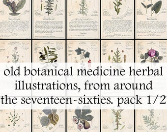 59 old botanical medicine herbal illustrations, from the 1760s. Old book illustrations - Vintage Botanical herbs - Printable Download