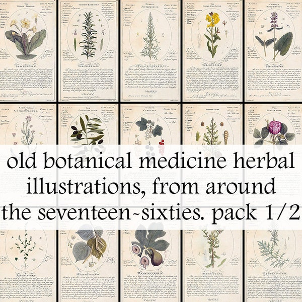 59 old botanical medicine herbal illustrations, from the 1760s. Old book illustrations - Vintage Botanical herbs - Printable Download