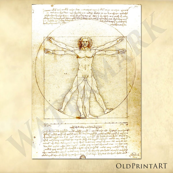 Leonardo da Vinci beautiful replica his Vitruvian Man - sketch - codex - antique repro digital download