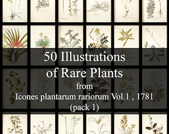 Vintage Botanical Print Set, 1781 Rare Plant Illustrations (Digital Download)