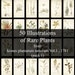 see more listings in the Botanical Art (bundles) section