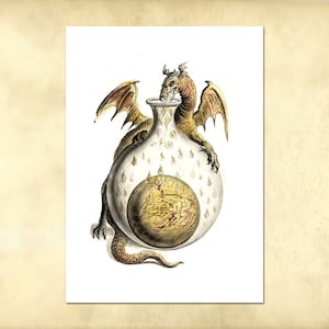 Colorful firebreathing dragon from the Alchemical and Rosicrucian compendium - alchemy book illustration