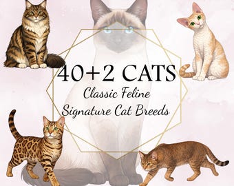 May include: Digital artwork featuring illustrations of various cat breeds. The image includes the text "40+2 CATS Classic Feline Signature Cat Breeds." The cats are depicted in different poses and colors, set against a soft, watercolor-style background.