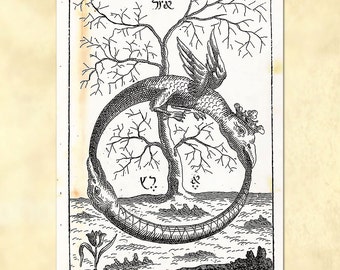 Ouroboros Dragons Illustration – Vintage Alchemy Art Print (Digital Download)