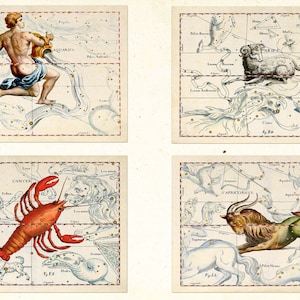 Los 12 signos del zodiaco - Alta resolución - Antiguo arte astrológico vintage - Hevelius Astronomy Astrology Horóscopo Arte - Constelaciones de estrellas celestes