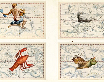 All 12 Zodiac Signs - High-res - Old Vintage Astrological Art - Hevelius Astronomy Astrology Horoscope Art - Celestial Star Constellations