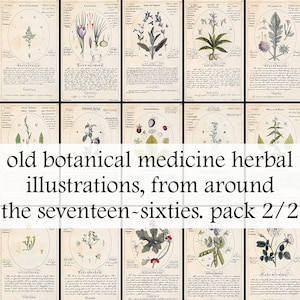 59 old botanical medicine herbal illustrations, from the 1760s /2. Old book illustrations - Vintage Botanical herbs - Printable Download