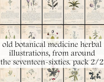 May include: A collection of 10 vintage botanical illustrations featuring various plants and flowers. The illustrations are in a circular frame with text describing the plant. The illustrations are in shades of green, brown, and white on a cream background.