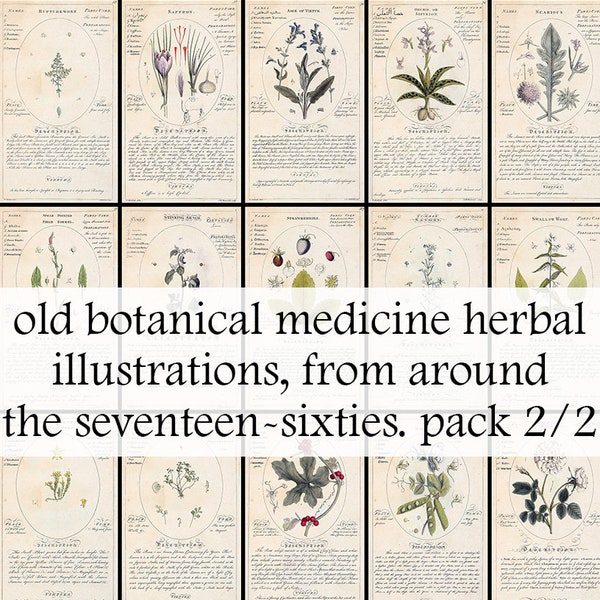 59 old botanical medicine herbal illustrations, from the 1760s /2. Old book illustrations - Vintage Botanical herbs - Printable Download