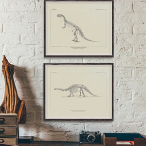 12 Vintage Drawings of Dinosaur Fossil Skeletons From North America ...