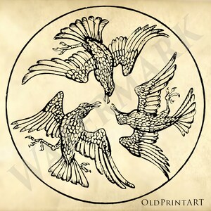 Three Crows Circling - Vintage Crow clipart - stamp logo design - Printable Digital Download - Old Book illustration - Scrapbooking