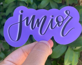 High School Sticker, Freshman, Sophomore, Junior or Senior