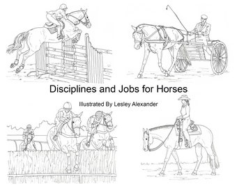 equestrian coloring etsy