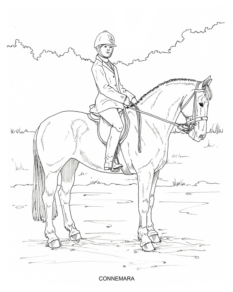 printable set of 10 horse breed coloring pages digital etsy