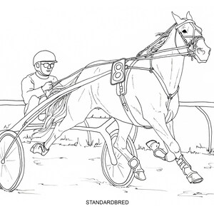 PRINTABLE Set of 10 Horse Breed Coloring Pages #2- Digital Download - Etsy