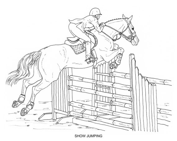 printable set of 8 english riding coloring pages digital etsy