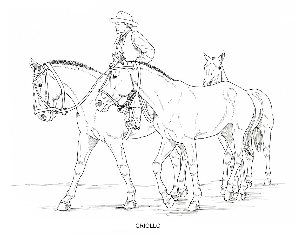 PRINTABLE Set of 10 Horse Breed Coloring Pages Digital Download Etsy
