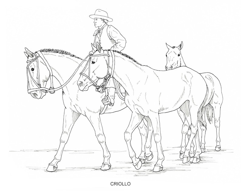 printable set of 10 horse breed coloring pages digital etsy