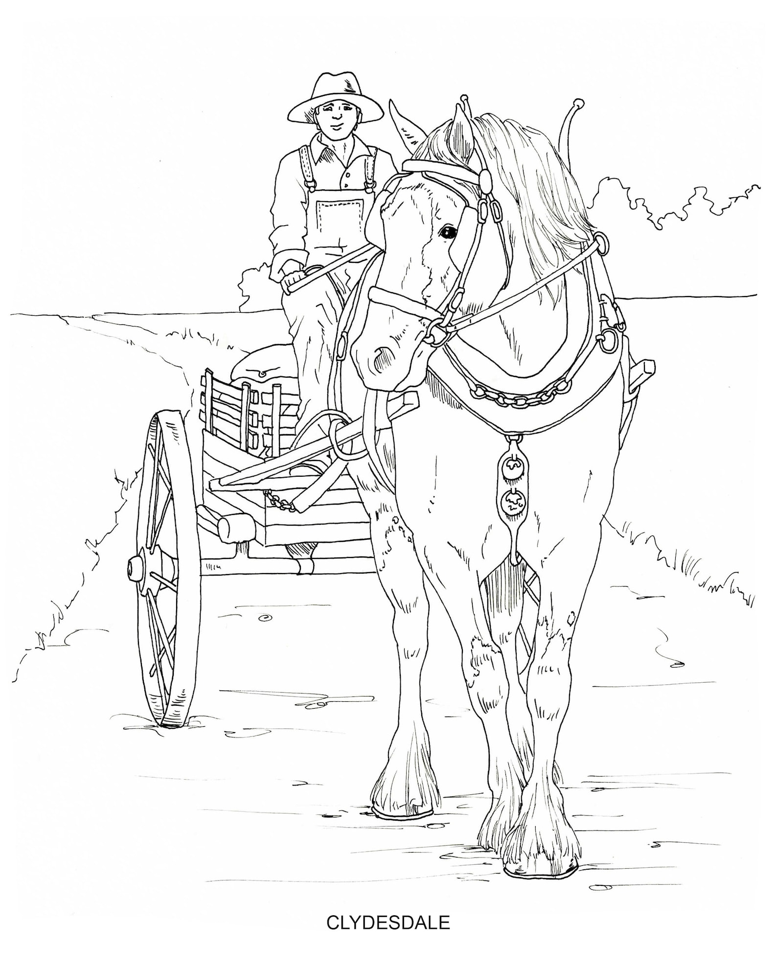 Horse Breeds Coloring Pages