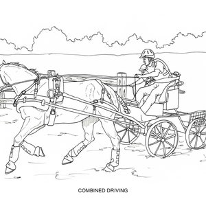 Printable Coloring Pages, Disciplines and Jobs for horses, 40 pages of hand drawn horse illustrations image 6