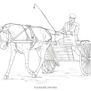 PRINTABLE set of 6 Driving Horses coloring pages - Digital download