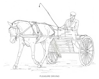 PRINTABLE set of 6 Driving Horses coloring pages - Digital download