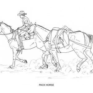 Printable Coloring Pages, Disciplines and Jobs for horses, 40 pages of hand drawn horse illustrations image 4