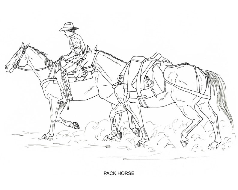 Printable Coloring Pages, Disciplines and Jobs for horses, 40 pages of hand drawn horse illustrations image 4