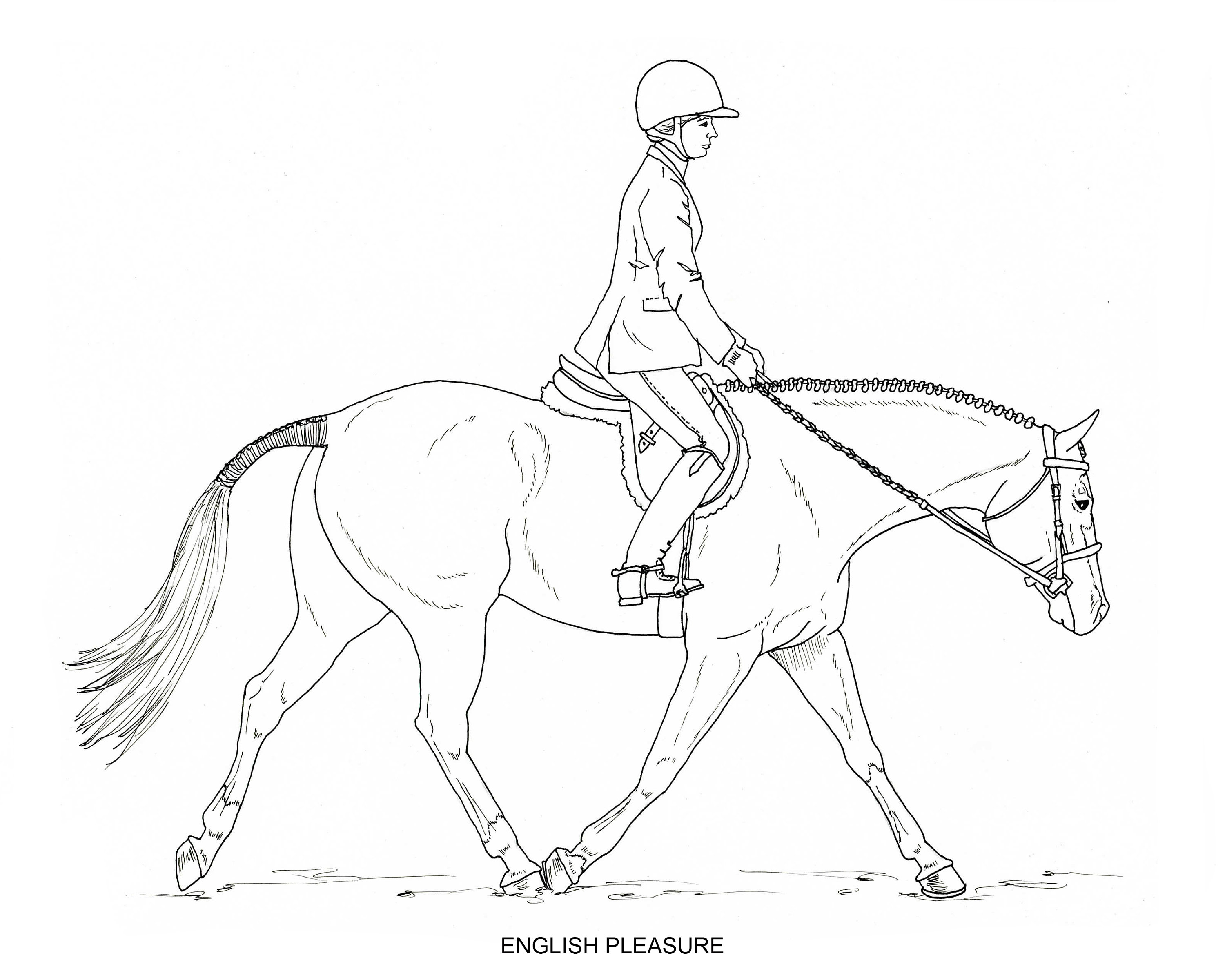 PRINTABLE Set of 8 English Riding Coloring Pages Digital Download