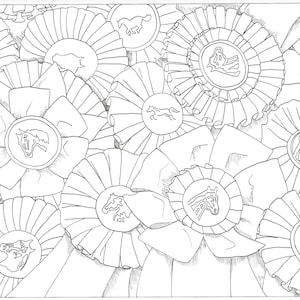 PRINTABLE set of 2 - Horse show ribbons coloring pages- Digital download