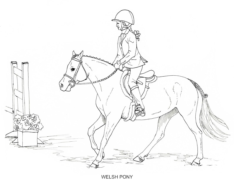 PRINTABLE Set of 10 Horse Breed Coloring Pages #2- Digital Download - Etsy