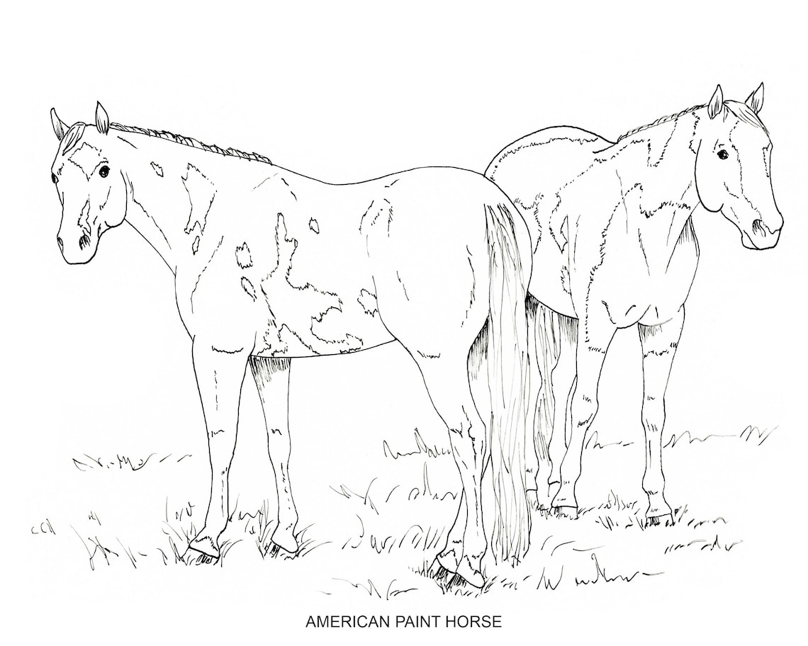 PRINTABLE set of 10 Horse Breed coloring pages 2 Digital Etsy