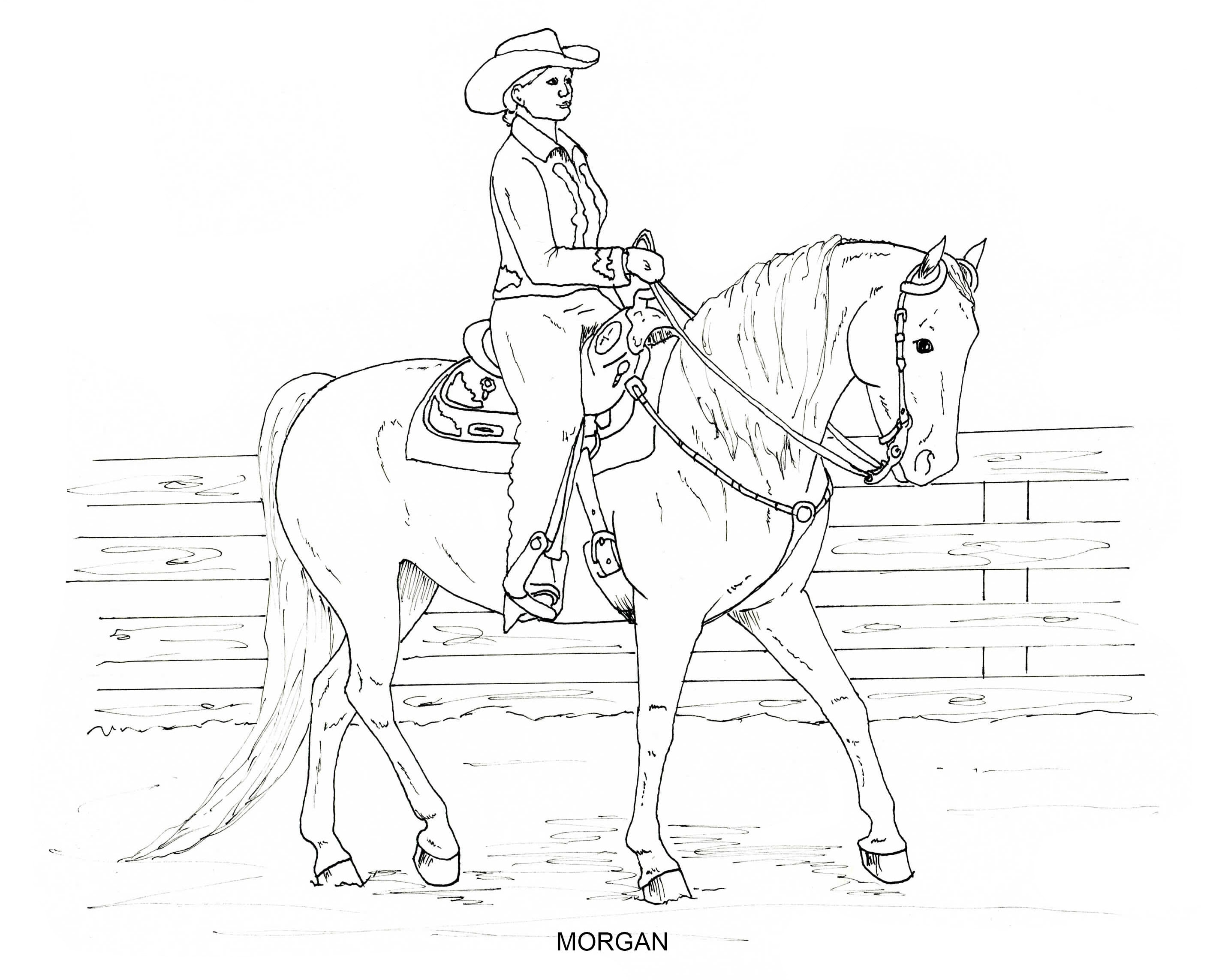 PRINTABLE set of 10 Horse Breed coloring pages 2 Digital -  Portugal