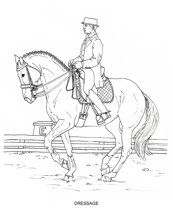Free Printable Realistic Horse Coloring Pages