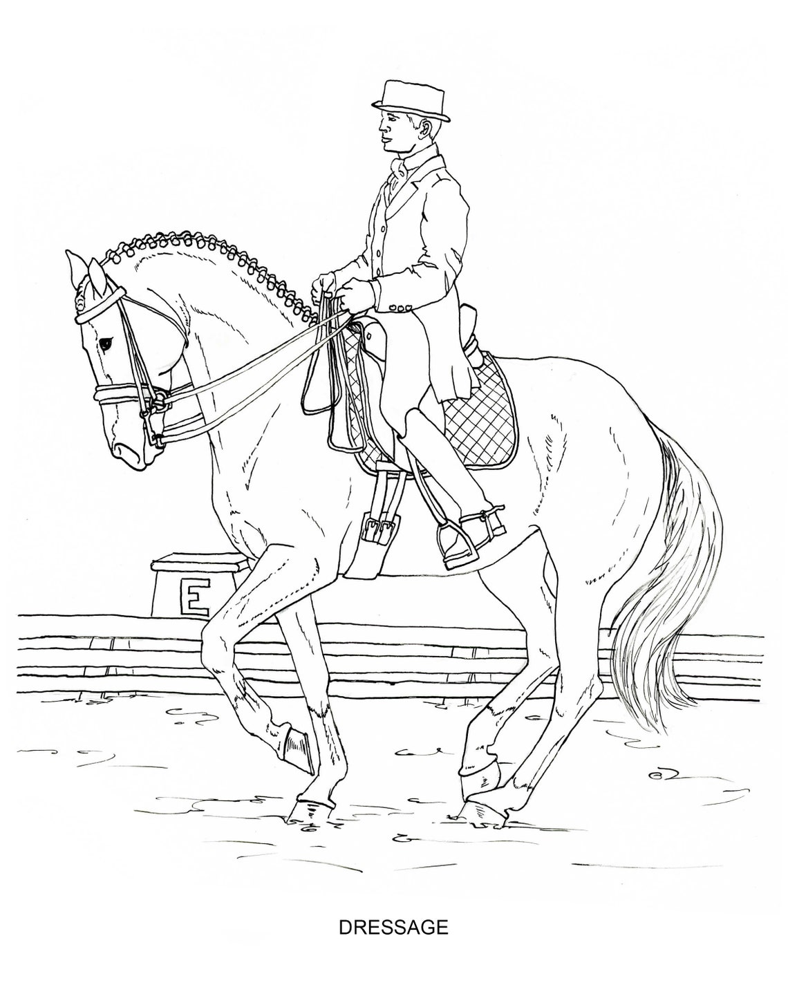 PRINTABLE Set of 8 English Riding Coloring Pages - Digital Download ...